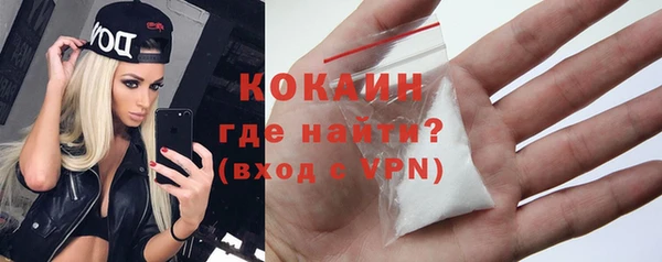 тгк Ладушкин