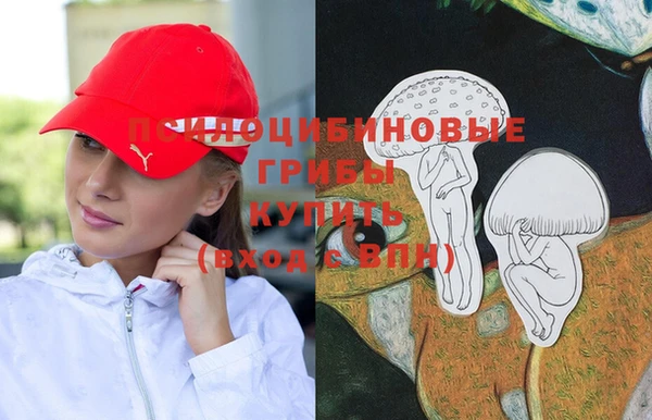 стафф Лабытнанги