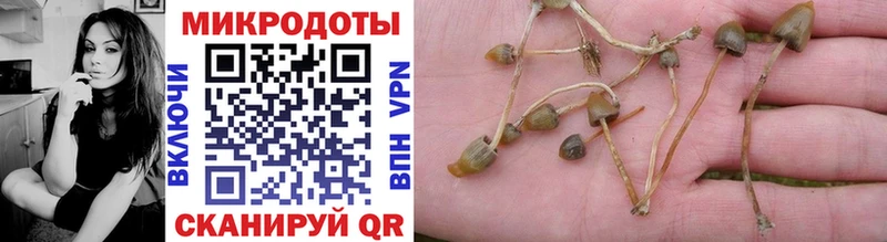 MEGA ссылка  Нижний Новгород  Псилоцибиновые грибы мицелий  продажа наркотиков 