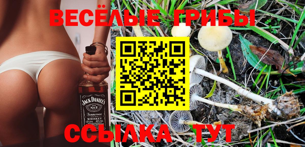 Нижний Новгород  Галлюциногенные грибы MAGIC MUSHROOMS  Вход с VPN 