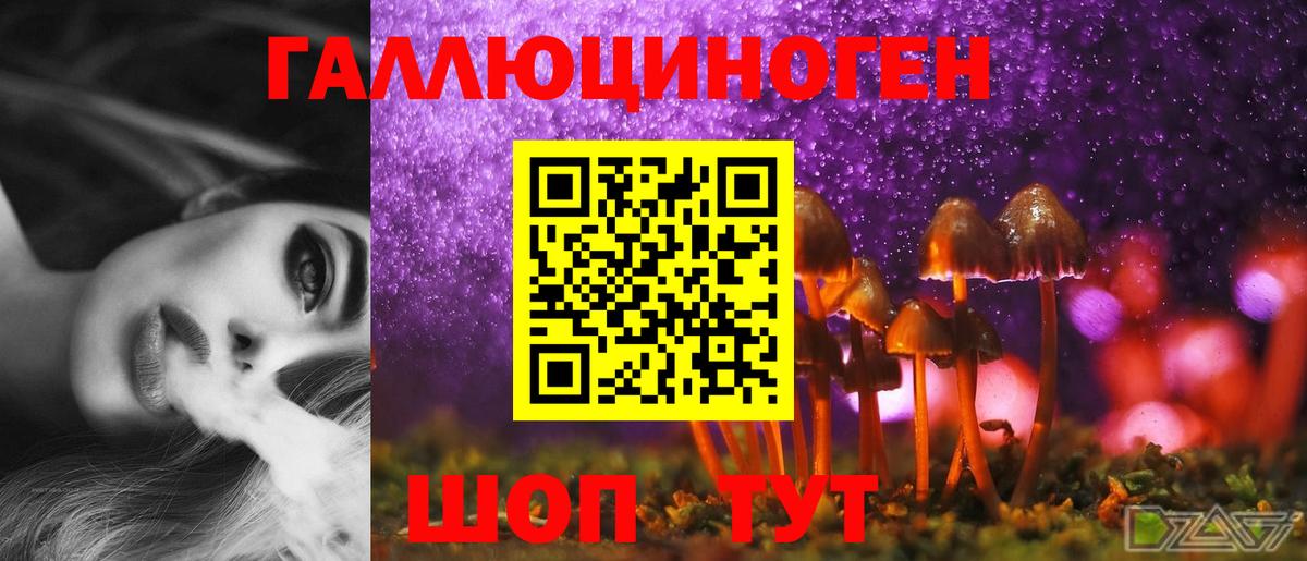 Галлюциногенные грибы прущие грибы Нижний Новгород