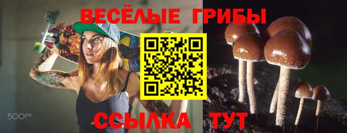 Псилоцибиновые грибы ЛСД  Нижний Новгород  Галлюциногенные грибы Magic Shrooms 